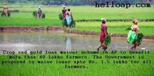 Crop and Gold Loan Waiver in AP