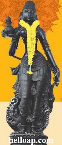 krishna pushkaralu idol