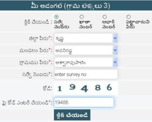 Mee Bhoomi Krishna District