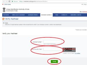 Aadhaar Status Online