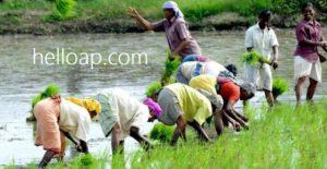 land survey in Telangana